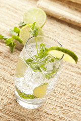 Freshly Made Mojito