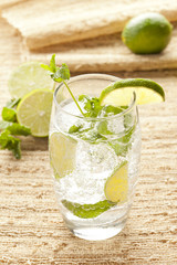 Freshly Made Mojito