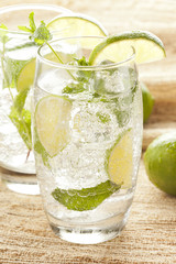 Freshly Made Mojito