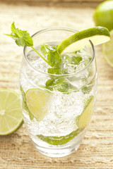 Freshly Made Mojito