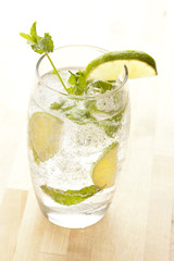 Freshly Made Mojito