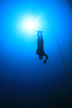 Free Diver