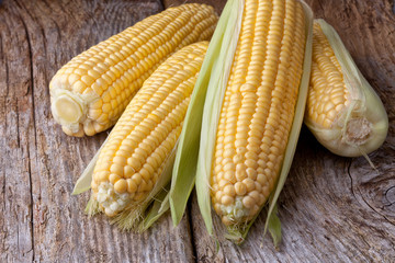corn cob on wood background