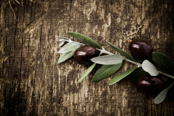 Branch with fresh black olives - obrazy, fototapety, plakaty