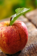 Closeup of red apple with single leaf