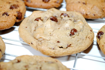 Cookies on a Cooling Rack