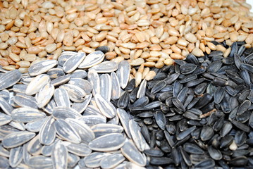 3 Sunflower Seeds