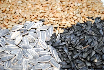 Gordijnen 3 Sunflower Seeds © Bill
