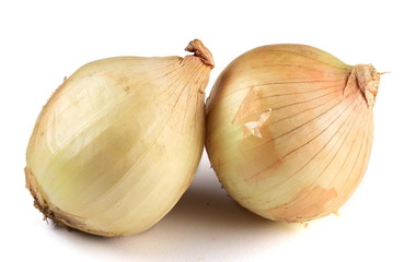 Onion