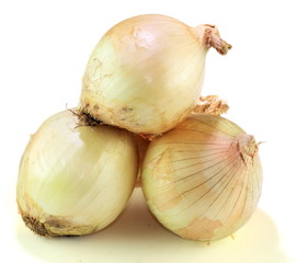 Onion