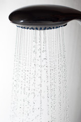 Showerhead.