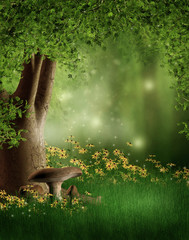Fototapeta na wymiar Leśna polana z grzybami i kwiatami