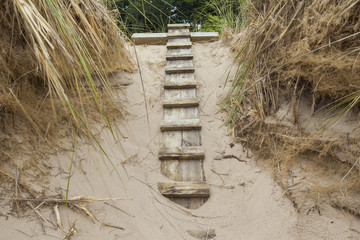 wooden ladder  over sand dune