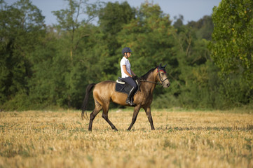 Riding a stroll through the fields in the nature
