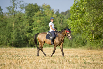 Riding a stroll through the fields in the nature