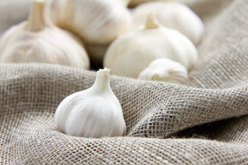 Garlic