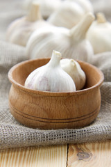 Garlic