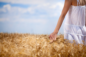 Woman’s hand touching wheat © luckybusiness