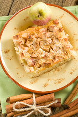 Homemade apple pie with cinnamon