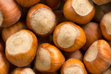 Hazelnuts (filbert) background