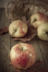 herbstliche dekoration