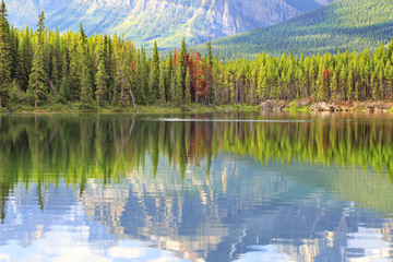Reflection in smooth water