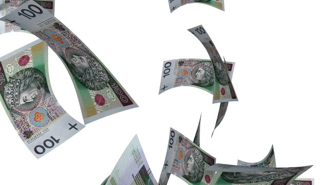 Falling Polish Zlotys (Loop on White)