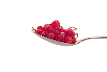 Spoonful of red currant