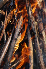 Lagerfeuer