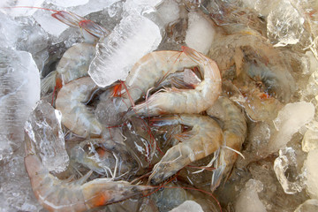 White shrimps