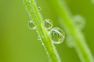 Wassertropfen