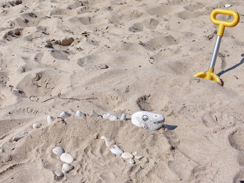 Fossil aus Stein ausgraben