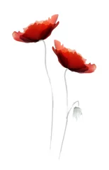 Foto op Plexiglas Abstracte bloemen Rode klaproos