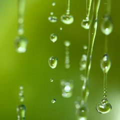 water drops