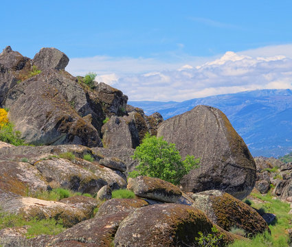 Serra Da Estrela 03