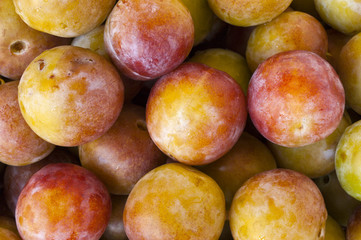 Plums are a close-up