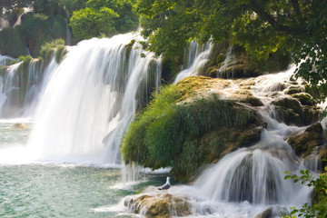 Obraz premium Waterfalls on Krka River. National Park, Dalmatia, Croatia