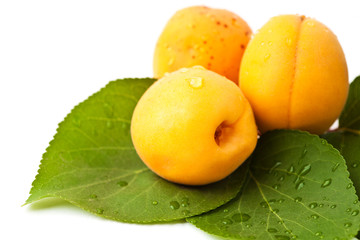 Apricot fruits with leaves isolated on white