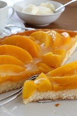 Pfirsich - Tortenboden