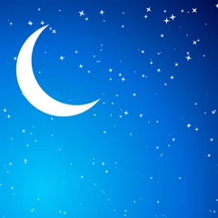 Dekokissen Nacht mit Mond © LayerAce.com