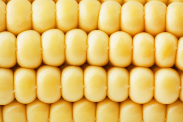 corn texture close up