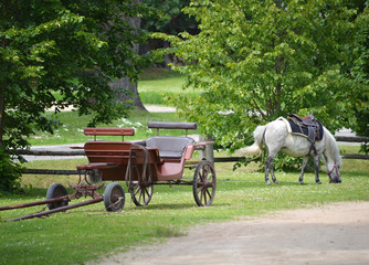 Fototapeta na wymiar Countryside scene, horse and carriage