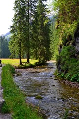 potok - Tatry © robert6666