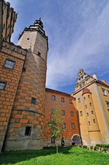Zamek, Oleśnica