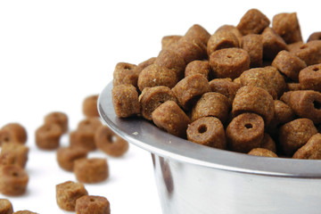 Dog food isolated on white, closeup