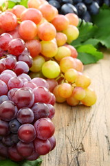 Black and pink grapes closeup.
