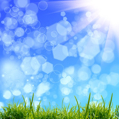 Obraz premium green grass bacground