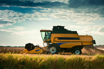 Fototapeta premium moisson agriculture engin agricole