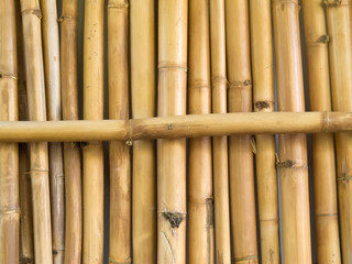 Background texture pattern of dried bamboo sticks