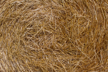 straw background